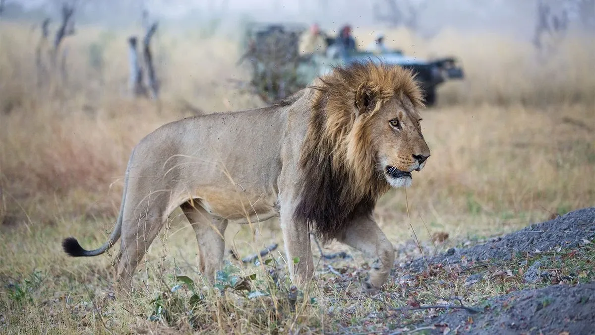 Namibia +/- Botswana advice - both or just one?